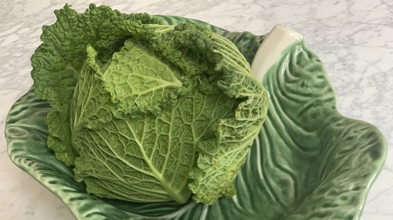 Real cabbage in a cabbage-shaped dish