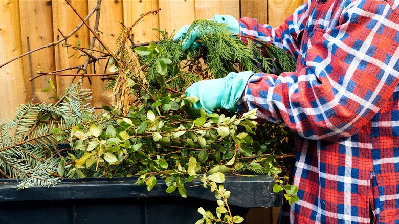 Close-up of a person's gloved hands putting yard clippings into a green materials bin