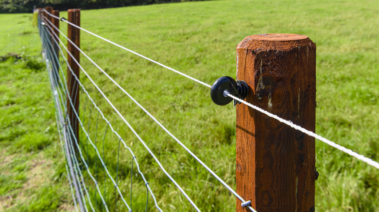 Close-up of an electric fence