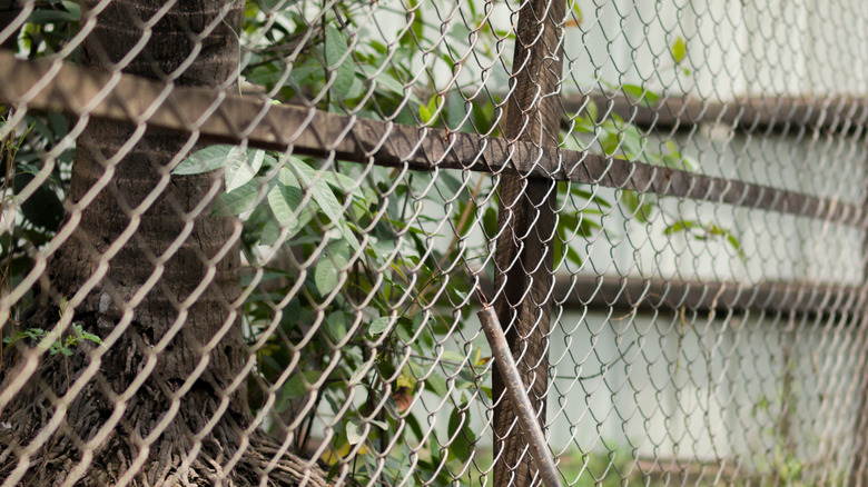 Close-up of woven wire fence