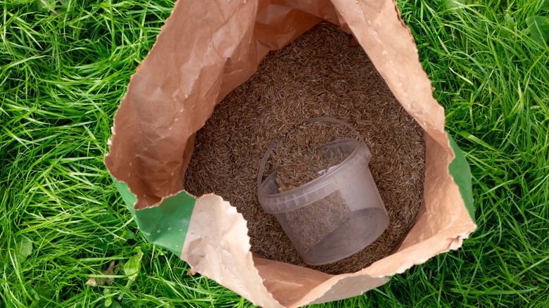 An aerial view of a large bag of grass seed on a lawn with a bucket inside ready to scoop