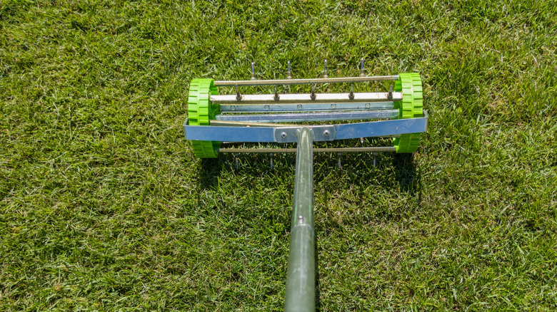 A manual push aerator being used on a well cut lawn