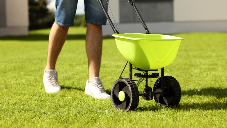 Someone pushing a seed spreader over a green lawn