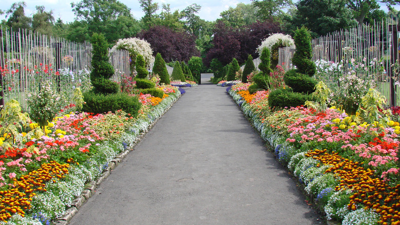 Colorful plants in a Victorian-style garden