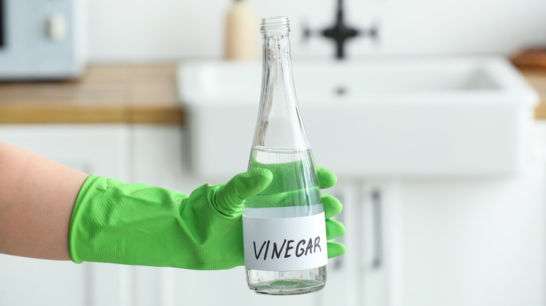 hand holding bottle of vinegar