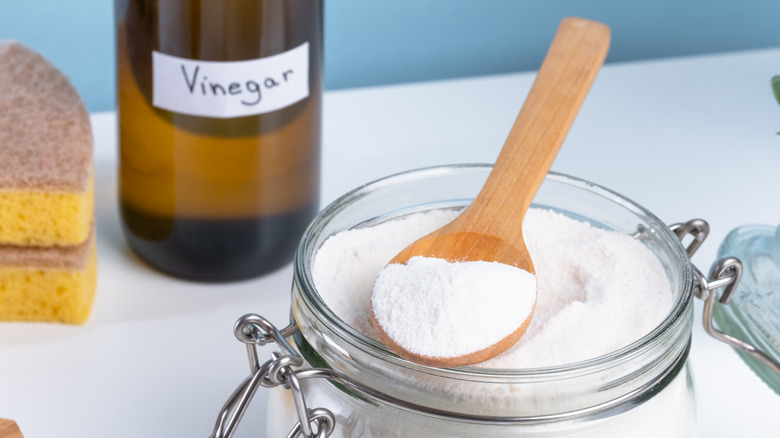 Vinegar and baking soda sitting on a counter