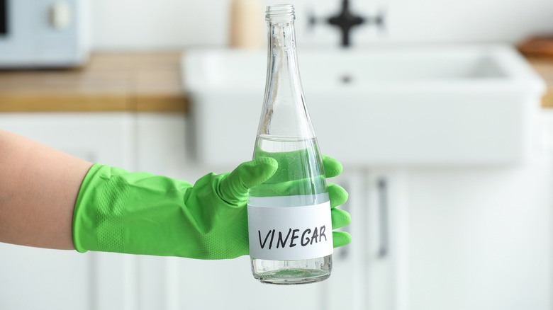 Someone holding vinegar