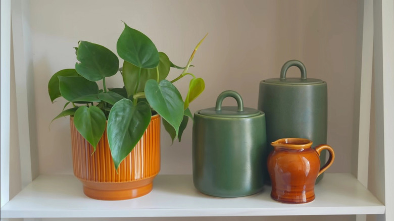 Heartleaf philodendron in an orange planter sitting on a small shelf with other decor