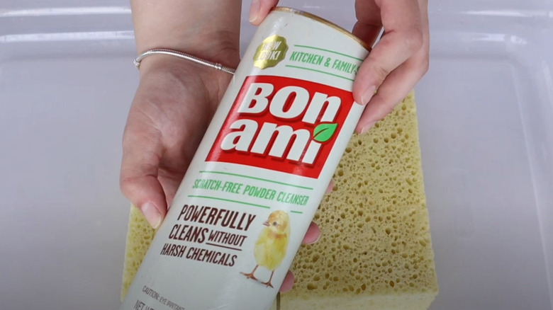 bon ami cleanser