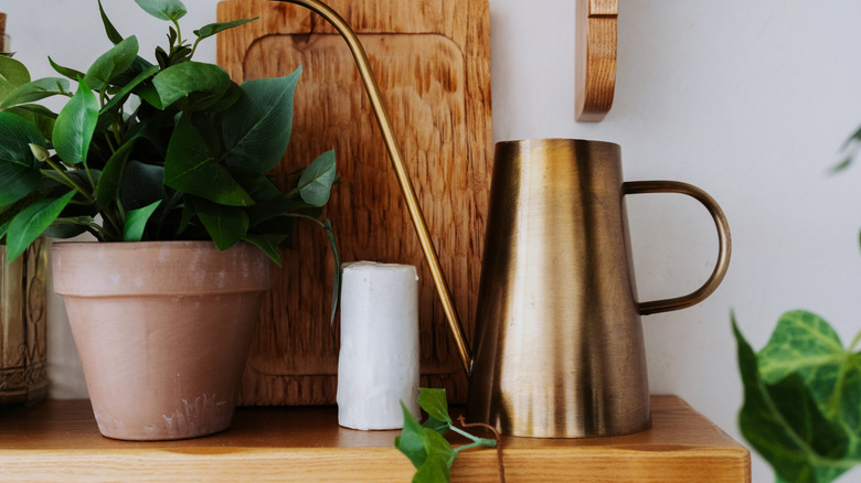 A vintage brass watering can with a long spout sitting on a wooden shelf alongside a plant in a terracotta pot, a wooden cutting board and a white candle