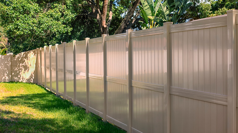 Tall tan vinyl fence in a backyard