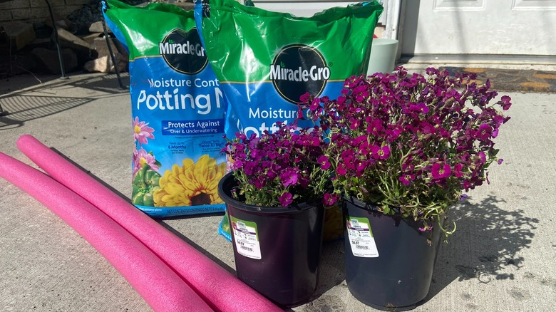 Supplies for planting pool noodles
