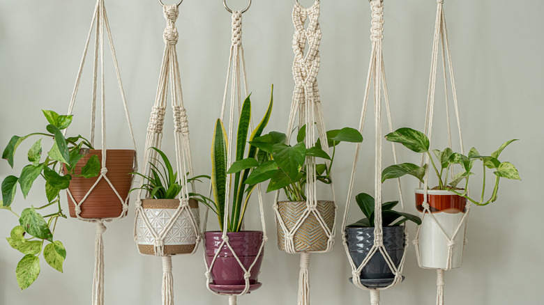 macrame plant holders