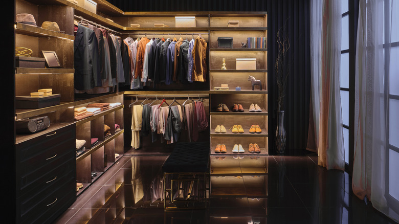 Closet with lighted shelves