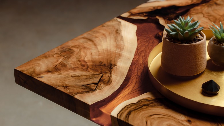 Wood table with succulent plant