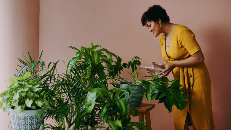 Woman watering plants