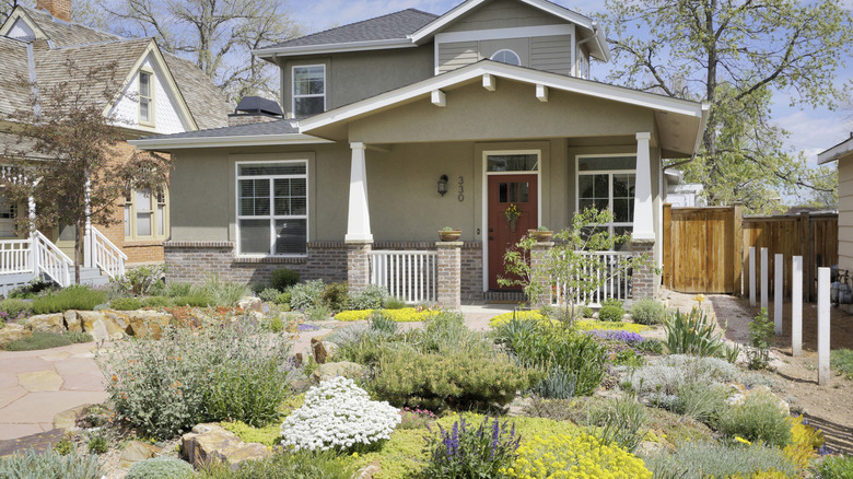 A craftsman home's yard in Colorado is landscaped with xeric plants.
