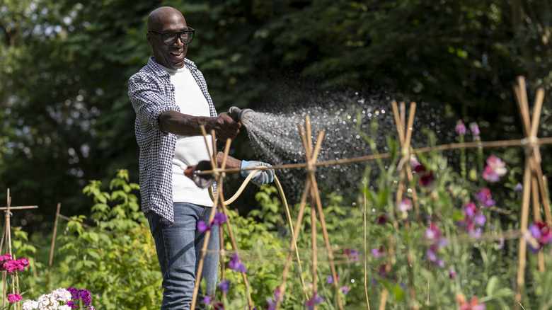A middle-aged dark-skinned man waters his flower garden.