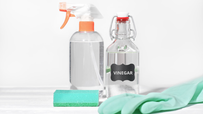 A teal rubber glove, teal sponge, clear bottle labeled "VINEGAR" and a white and orange spray bottle filled with clear liquid are grouped in front of a white background.