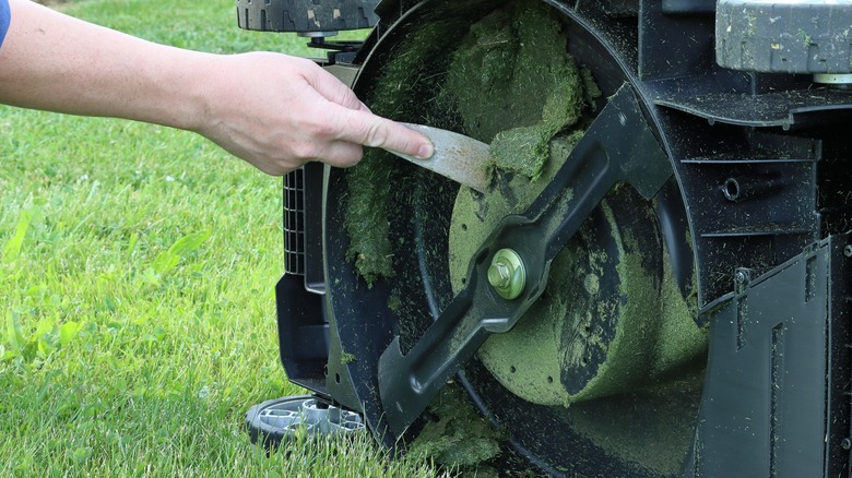 Scraping grass from lawn mower blades