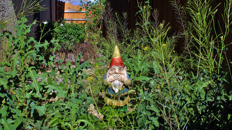Gnome in weed-filled yard