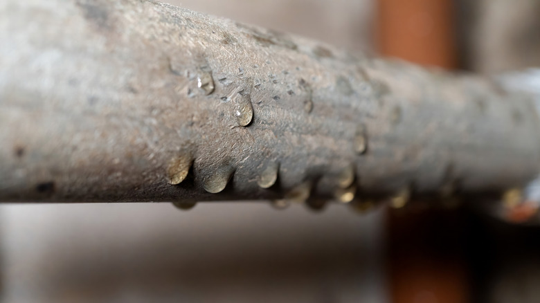 Condensation on metal plumbing pipe