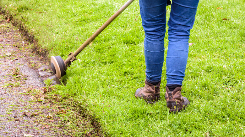person trimming grass along driveway