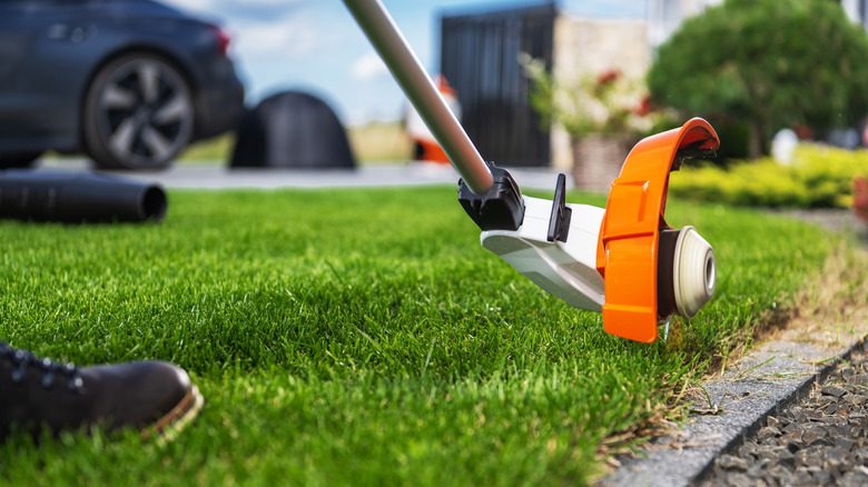 weed eater trimmer on grass