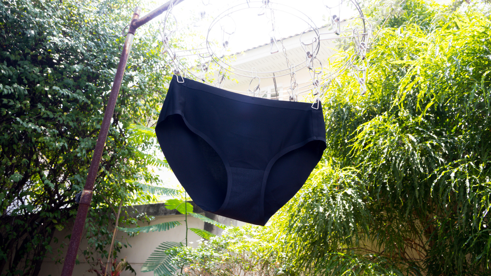 https://www.housedigest.com/img/gallery/the-weird-gardening-hack-that-uses-a-pair-of-underwear-to-test-soil/l-intro-1694100785.jpg