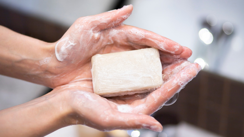 A person holds a sudsy bar of plain white soap