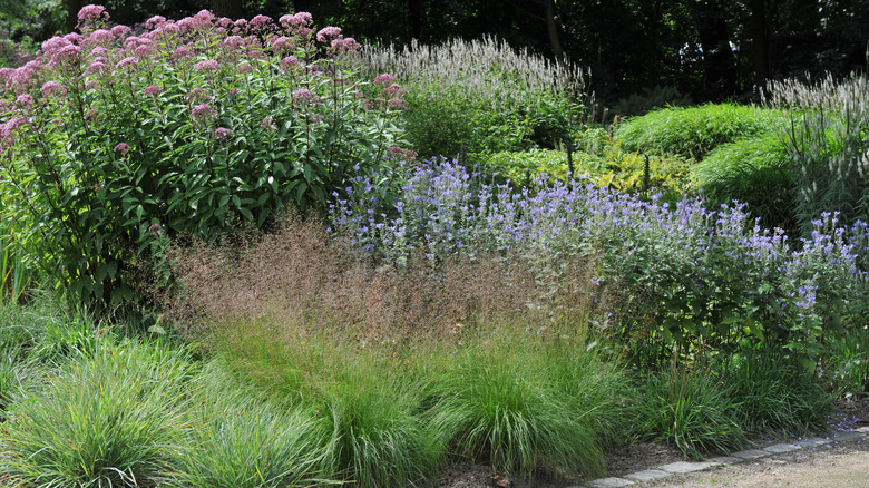 A gorgeous garden bed with flowering plants and ground covers