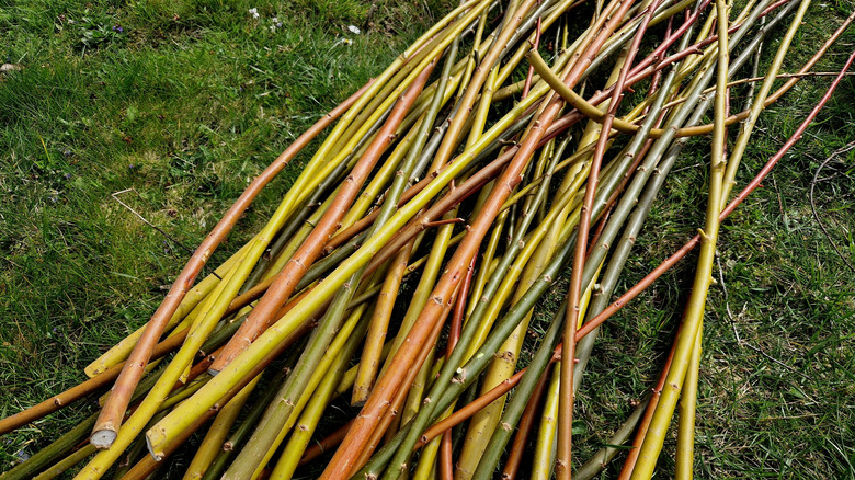A variety of willow rods lie on a patch of grass.