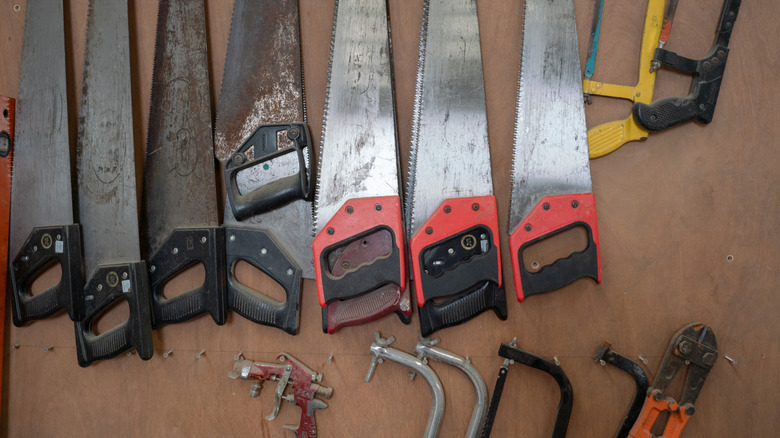 Selection of handsaws on a wall