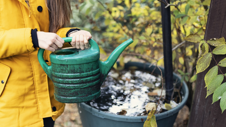 A person watering plants in cold weather