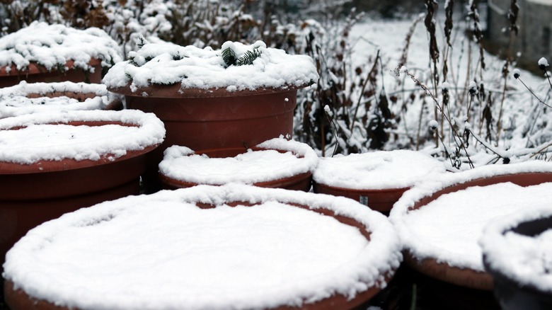 empty pots in snow