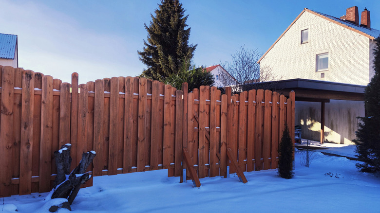 Wood board-on-board fencing with snow on the ground and a green tree in the background.