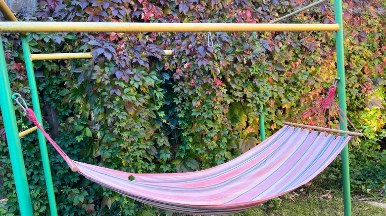 hammock in front of grape vines hanging over a fence