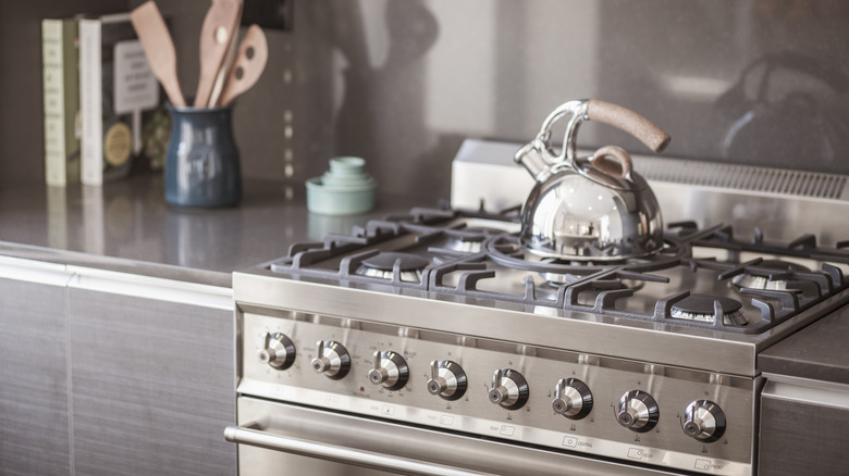 Stainless steel stove