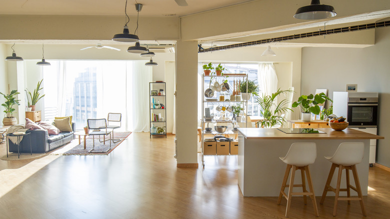 Brightly lit mid century modern open floor plan with plants