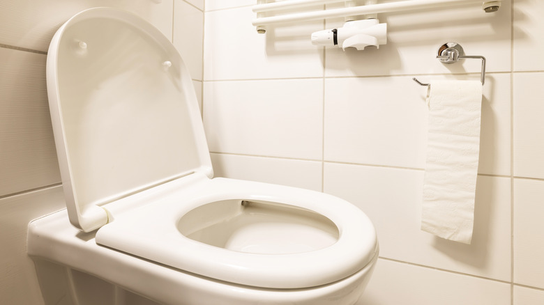 Toilet bowl in modern bathroom