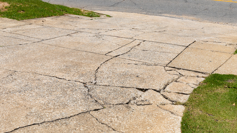 A driveway with a lot of cracks on it