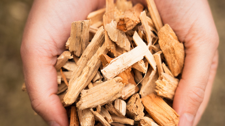 Hand holding wood chips