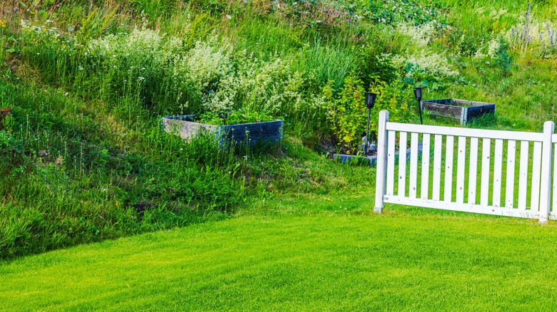 Yard sloping to white fence and flat mowed area.