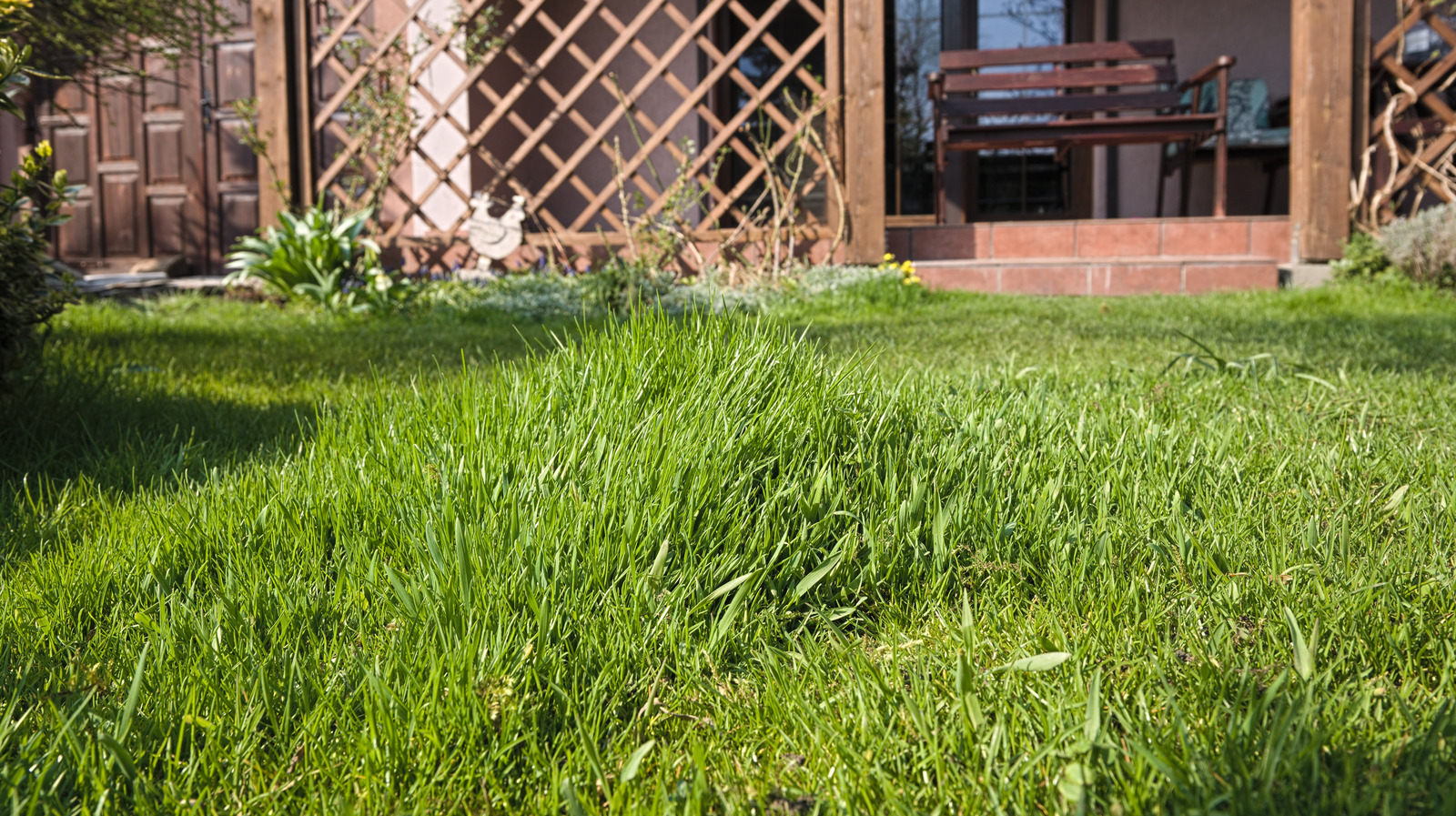 There's A Reason Your Lawn Is Growing With Thick Patches In It