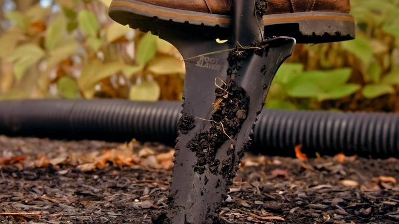 Person digging a hole with a serrated-edge shovel