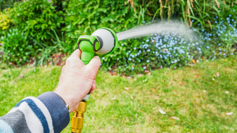 Watering the graden with an expandable garden hose