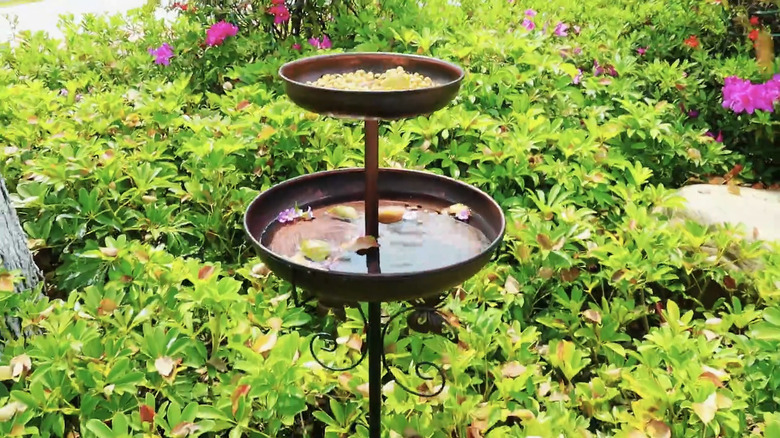 Daoeny's 42-inch Vintage Freestanding birdbath installed in a garden