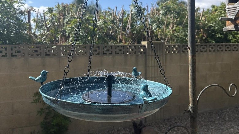 DazSpirit's 14.9-inch Hanging Birdbath with Solar Fountain hanging from a hook