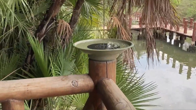 HOUYANG's Solar Fountain Birdbath perched on a fence by a tropical pond