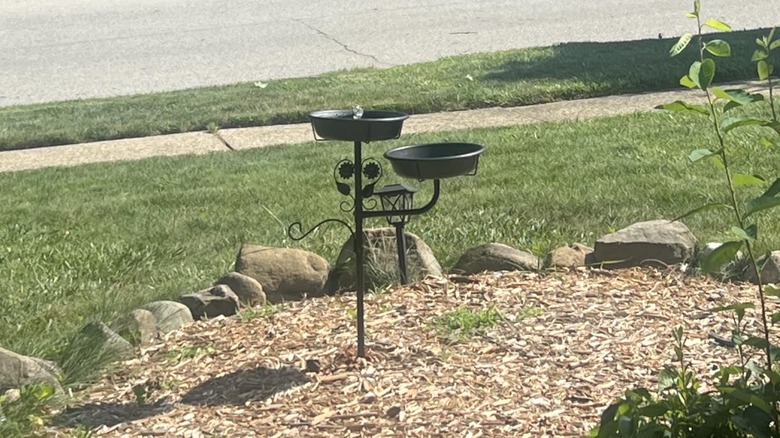 Lounginglife's 32.7-inch Metal Birdbath installed in a  mulched bed in front yard